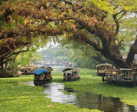 3 Days Wayanad Treehouse Tour