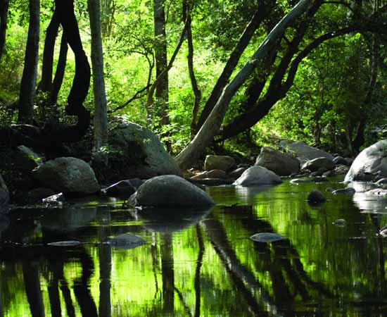 3 Days Kumarakom Alleppey